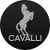 Cavalli Top